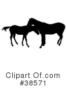 Horse Clipart #38571 by dero