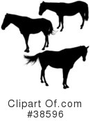 Horse Clipart #38596 by dero