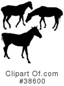 Horse Clipart #38600 by dero