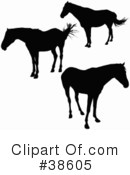 Horse Clipart #38605 by dero