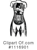 Human Anatomy Clipart #1116901 by Prawny Vintage