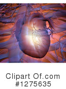 Human Heart Clipart #1275635 by Mopic