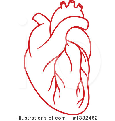 Royalty-Free (RF) Human Heart Clipart Illustration by Vector Tradition SM - Stock Sample #1332462