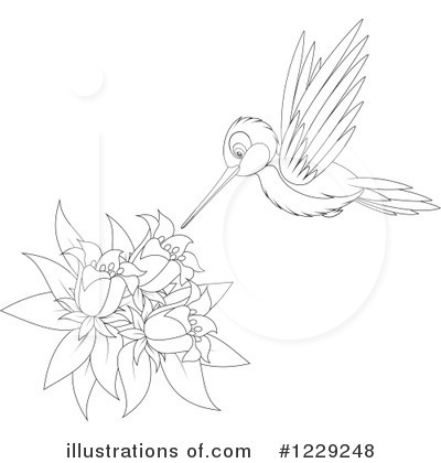 Royalty-Free (RF) Hummingbird Clipart Illustration by Alex Bannykh - Stock Sample #1229248