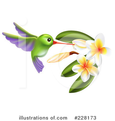 Royalty-Free (RF) Hummingbird Clipart Illustration by AtStockIllustration - Stock Sample #228173