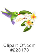 Hummingbird Clipart #228173 by AtStockIllustration