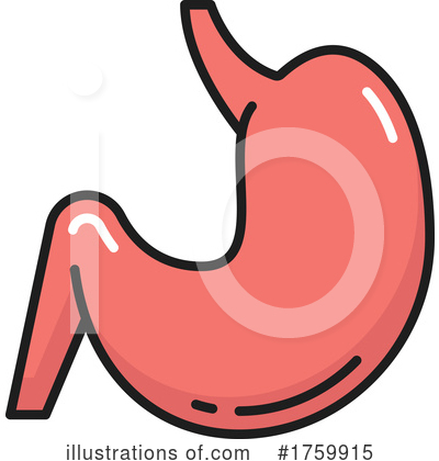 Stomach Clipart #1759915 by Vector Tradition SM