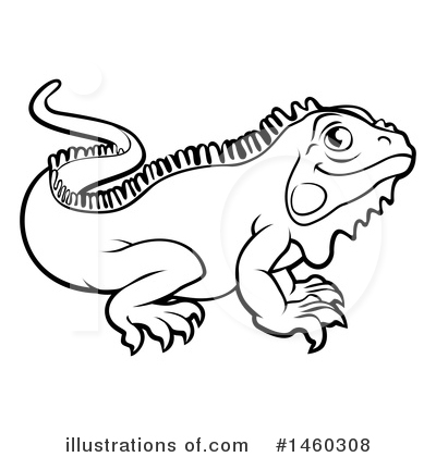 Iguana Clipart #1460308 by AtStockIllustration