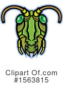 Insect Clipart #1563815 by patrimonio