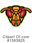 Insect Clipart #1563825 by patrimonio