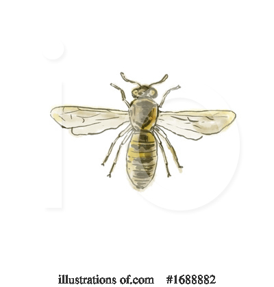 Wasp Clipart #1688882 by patrimonio
