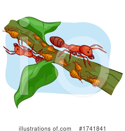 Royalty-Free (RF) Insect Clipart Illustration by BNP Design Studio - Stock Sample #1741841
