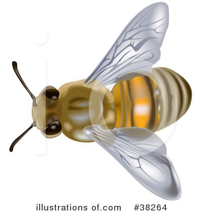 Bee Clipart #38264 by dero