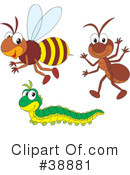 Insects Clipart #38881 by Alex Bannykh