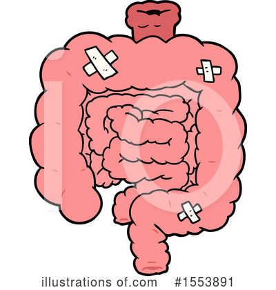 Royalty-Free (RF) Intestines Clipart Illustration by lineartestpilot - Stock Sample #1553891