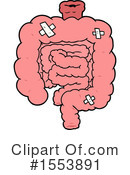 Intestines Clipart #1553891 by lineartestpilot