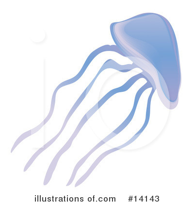 Jellyfish Clipart #14143 by Rasmussen Images