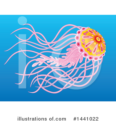 Royalty-Free (RF) Jellyfish Clipart Illustration by Alex Bannykh - Stock Sample #1441022
