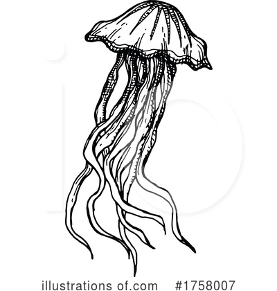 Jellyfish Clipart #1758007 by Vector Tradition SM