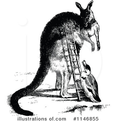 Royalty-Free (RF) Kangaroo Clipart Illustration by Prawny Vintage - Stock Sample #1146855