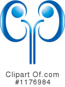 Kidney Clipart #1176984 by Lal Perera