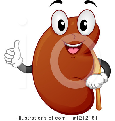 Kidneys Clipart #1212181 by BNP Design Studio