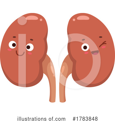 Kidneys Clipart #1783848 by Vector Tradition SM