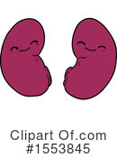 Kidneys Clipart #1553845 by lineartestpilot