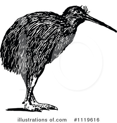 Royalty-Free (RF) Kiwi Bird Clipart Illustration by Prawny Vintage - Stock Sample #1119616