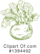 Kohlrabi Clipart #1384492 by Vector Tradition SM
