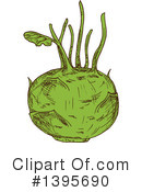 Kohlrabi Clipart #1395690 by Vector Tradition SM