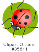 Ladybug Clipart #35811 by Prawny