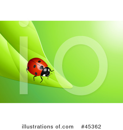 Ladybird Clipart #45362 by Oligo