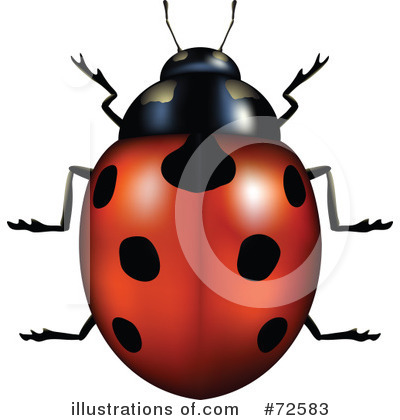 Royalty-Free (RF) Ladybug Clipart Illustration by cidepix - Stock Sample #72583