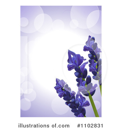Lavender Clipart #1102831 by elaineitalia