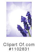 Lavender Clipart #1102831 by elaineitalia