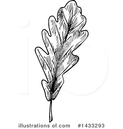 Royalty-Free (RF) Leaf Clipart Illustration by Vector Tradition SM - Stock Sample #1433293