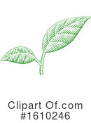 Leaves Clipart #1610246 by cidepix