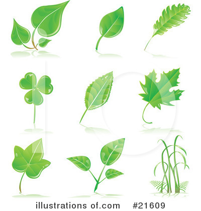 Growth Clipart #21609 by Tonis Pan