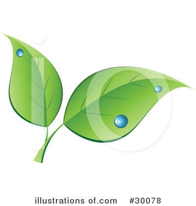 Royalty-Free (RF) Leaves Clipart Illustration by KJ Pargeter - Stock Sample #30078