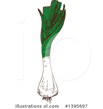 Leeks Clipart #1395697 by Vector Tradition SM