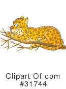 Leopard Clipart #31744 by Alex Bannykh