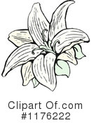 Lily Clipart #1176222 by lineartestpilot