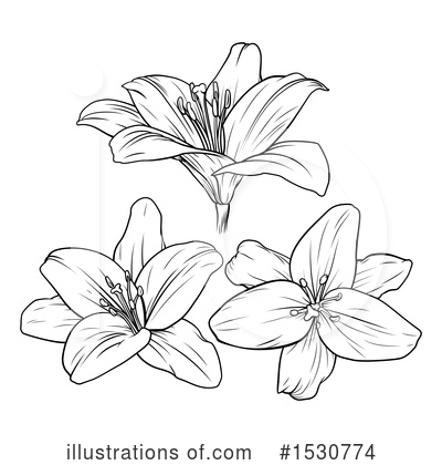 Royalty-Free (RF) Lily Clipart Illustration by AtStockIllustration - Stock Sample #1530774