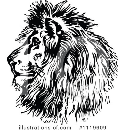 Lion Clipart #1119609 by Prawny Vintage