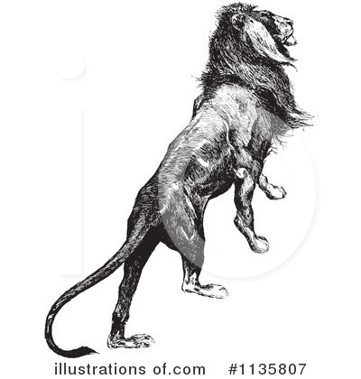 Royalty-Free (RF) Lion Clipart Illustration by Picsburg - Stock Sample #1135807