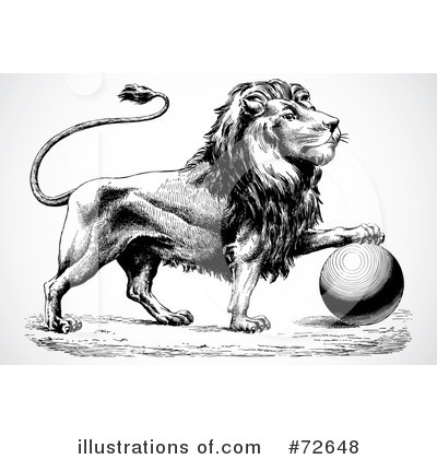 Royalty-Free (RF) Lion Clipart Illustration by BestVector - Stock Sample #72648
