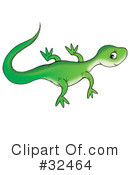 Lizard Clipart #32464 by Alex Bannykh