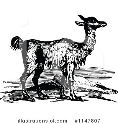 Royalty-Free (RF) Llama Clipart Illustration by Prawny Vintage - Stock Sample #1147807