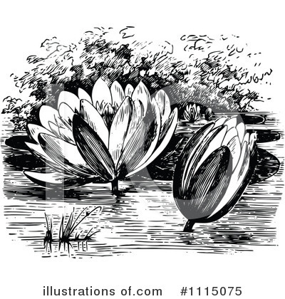 Water Lily Clipart #1115075 by Prawny Vintage
